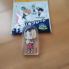 ハイキュー!! アクリルプレート 孤爪研磨　アクスタ
