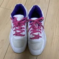 美品⭐︎YONEX バドミントンシューズ STRIDER FLOW 23cmのサムネイル