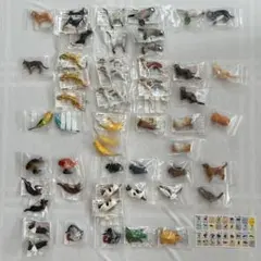 フルタ　ペット動物コレクション第1弾全35タイプ　フルコンプのサムネイル