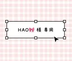 HAOྀི 様 専用
