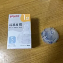 Item thumbnail for item 6dc9c639-e6fc-4892-ab0e-3c175bdb2798