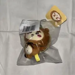 たぬきだもん くじ シーサー