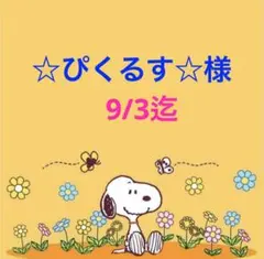 ☆ぴくるす☆様 専用ページ