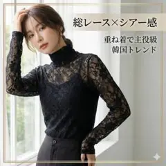 レース トップス ハイネック シアー インナー 透け感 韓国ファッション 黒