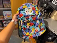 WDW　フロリダ　ディズニーワールド　バックパック　リュック　ラージ