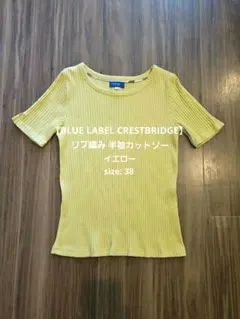【BLUE LABEL CRESTBRIDGE】リブ編み 半袖カットソー/38