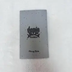 スキズ エコパアプグレ特典 ホログラムチケット