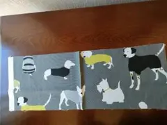 Item thumbnail for item 2274c49b-b2f8-4932-9a47-7e8ca5785aef