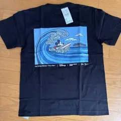 Item thumbnail for item e1673a83-97af-4747-a698-941f790b3a76