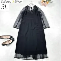 Item thumbnail for item 4df3fba7-d401-47b8-93f7-b6e460d3248e