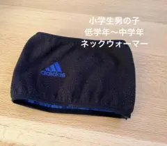 Item thumbnail for item d4a74c39-9fdc-419c-a0a1-204c2b7a1872