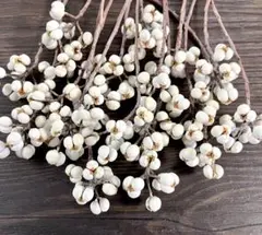 こしか様 リクエスト 2点 まとめ商品