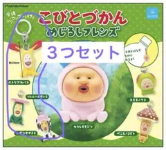 こびとづかん めじるしフレンズ　3つセット