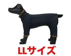 2026年最新】Alphaicon llの人気アイテム - メルカリ