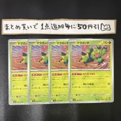マラカッチ　4枚