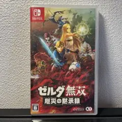 ゼルダ無双 厄災の黙示録 Nintendo Switch