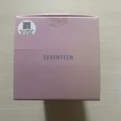 SEVENTEEN ペンライト VER.3 デコリング　セット
