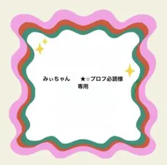 みぃちゃん ★✩プロフ必読様専用
