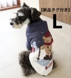 Item thumbnail for item 5ff3cc82-972b-49ea-8347-ca7591438abe