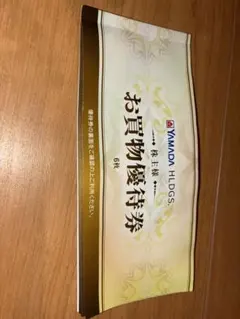 お買物優待券 6枚 500円　3000円分　YAMADA ヤマダ電機　株主優待