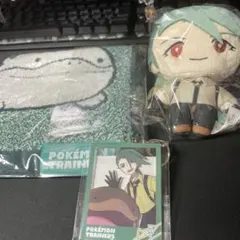 ポケモン チリ ぬいぐるみ アクリルキーホルダー ハンドタオル グッズセット