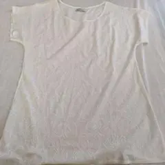 Item thumbnail for item c20260b0-b371-401d-a66d-d4b03e0fa628