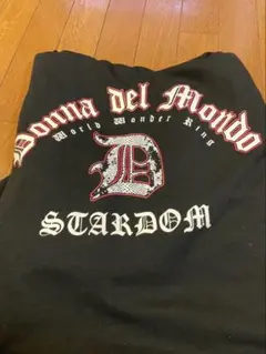 スターダム スポーツ選手