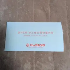 ビックカメラ 優待券　15000円分