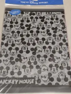 ディズニーリゾート　ミッキーフレンズ　クリアファイルセット