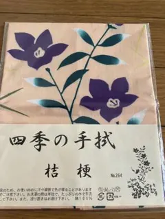 Item thumbnail for item f4c6f860-f3ec-41ab-92ae-ff71396f8a25