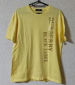 Item thumbnail for item beaeb34a-435a-4164-8a82-1713eb22b859