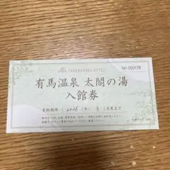 有馬温泉 太閤の湯 入館券