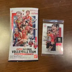 バレーボール女子日本代表 山田二千華 2026 メタリックプラカード　レア