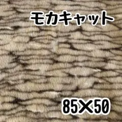 Item thumbnail for item 9918277c-fe3e-47ab-8fa7-a82c7f79c120