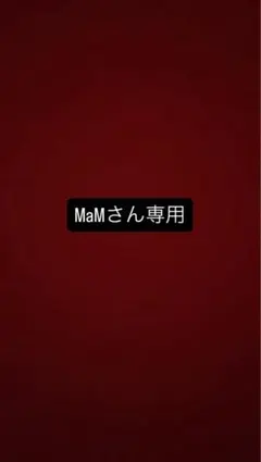 ニンテンドーSwitchライト