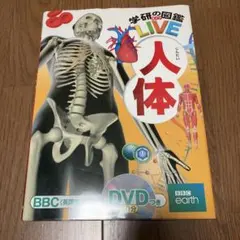 Item thumbnail for item b131044d-18c7-4dfb-bafd-f6252e83f9fa