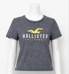Hollister ボーダー Tシャツ