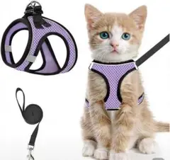 Item thumbnail for item f760e318-de37-417e-9dbe-b3b23fe3ca0e