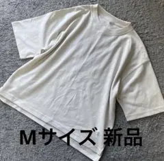 Item thumbnail for item a7a34742-623c-404f-9ccd-44c7f6405f0d