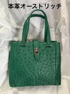 本革オーストリッチ　ハンドバック