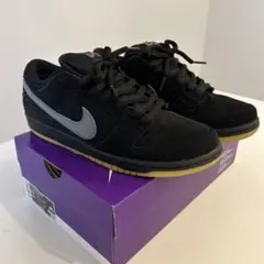 NIKE SB DUNK LOW PRO