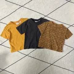 【ZARA KIDS】Tシャツ 3枚セット 80センチ