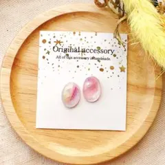 877. artic楕円꙳✧˖⌖レジンピアス