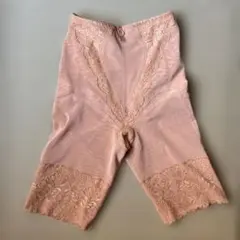 DIANAダイアナガードル補正下着オレンジベージュLのサムネイル