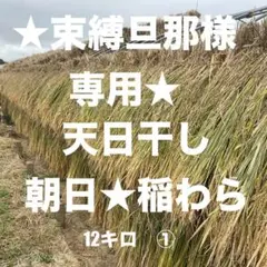 2026年最新】稲わら 無農薬の人気アイテム - メルカリ