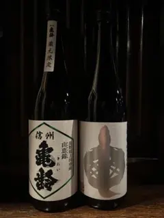 2026年最新】信州亀齢 銀亀の人気アイテム - メルカリ