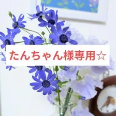 たんちゃん様専用ページです。
