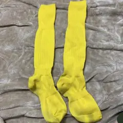 Item thumbnail for item 511c8374-7ccd-4aff-8fef-38dafb5c7c3d