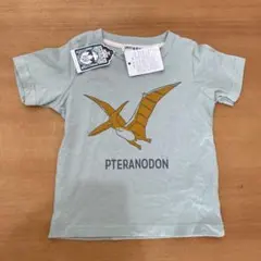 Item thumbnail for item a81c6cbb-eba0-4865-b3ec-b905d874c7e9