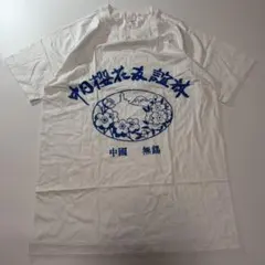 D8 90s China Wuxi Friendship Shirt